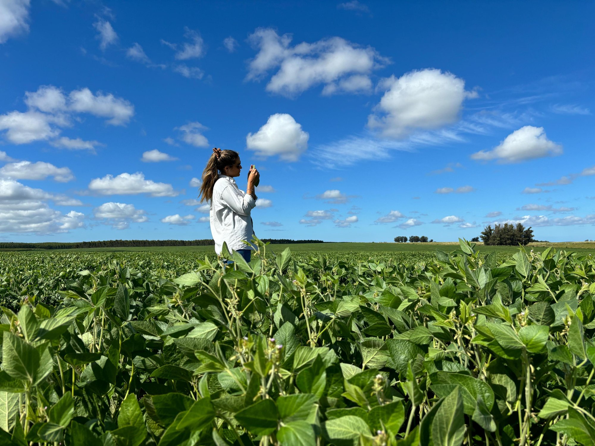 TIMAC AGRO_UY1_UY_69dfd899b13388f212f0a0e5_4